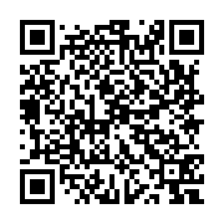 QR code for QZI971