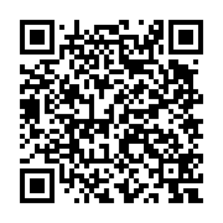 QR code for QZJ419