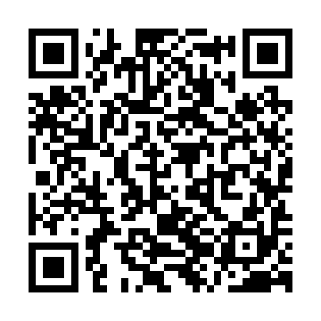 QR code for QZK290