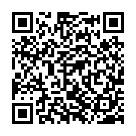 QR code for QZL250