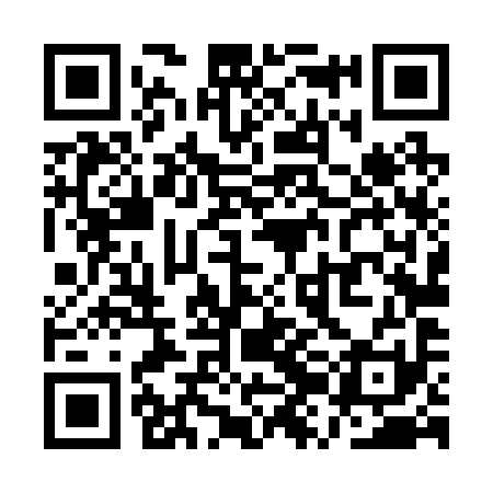 QR code for QZL291