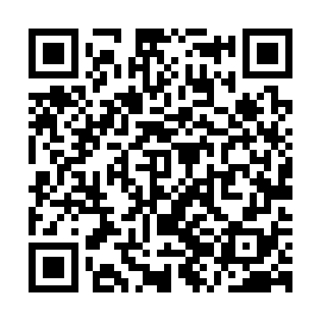 QR code for QZL378