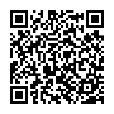 QR code for QZL645