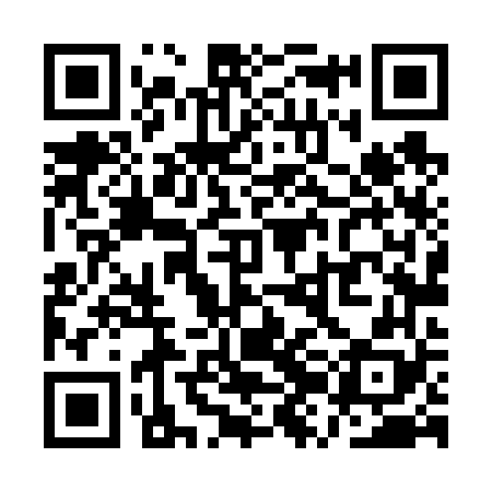 QR code for QZL668