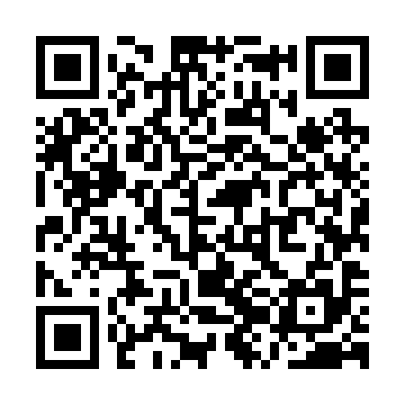 QR code for QZM295