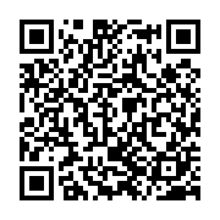 QR code for QZM500