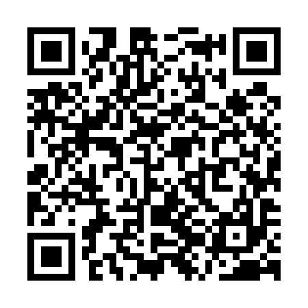QR code for QZM597