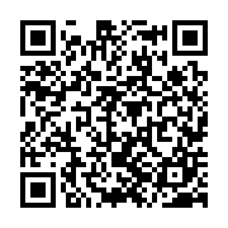 QR code for QZN307