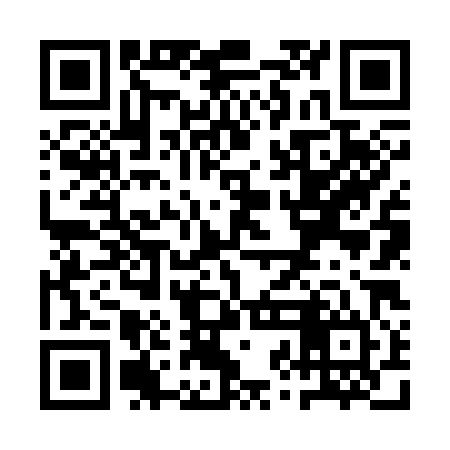 QR code for QZN384