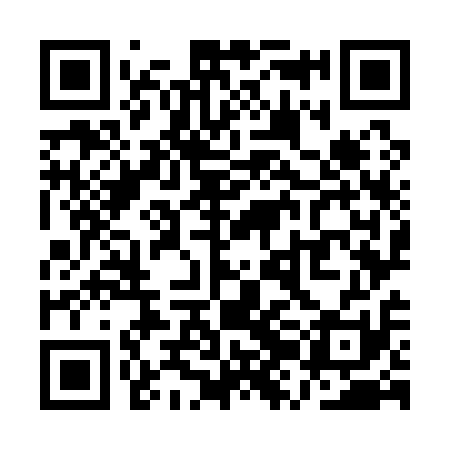 QR code for QZO111