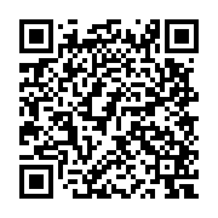 QR code for QZP541