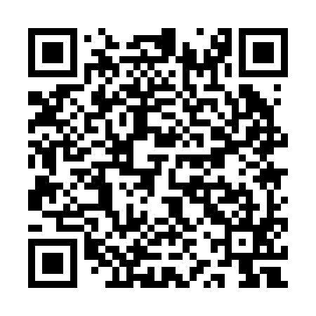 QR code for QZQ295