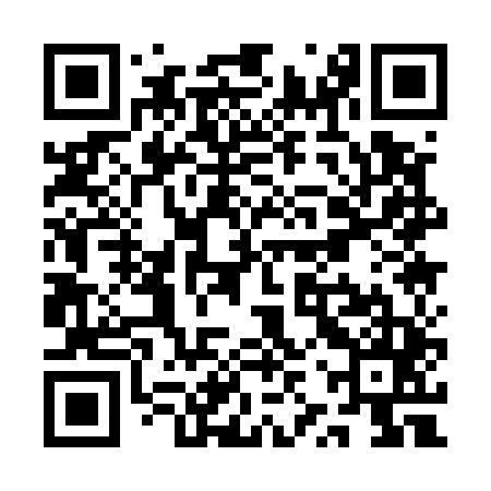 QR code for QZQ545