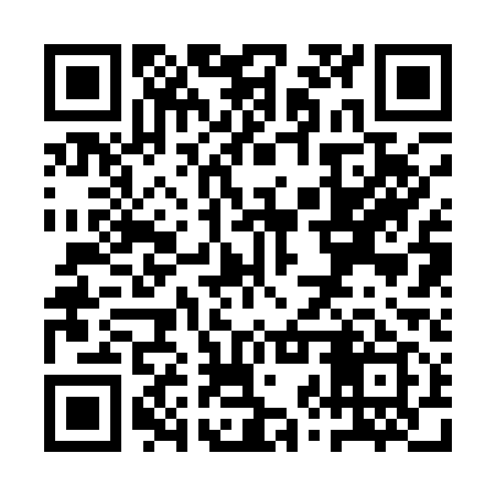 QR code for QZR119