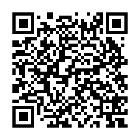 QR code for QZR228