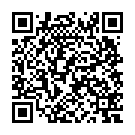QR code for QZR619