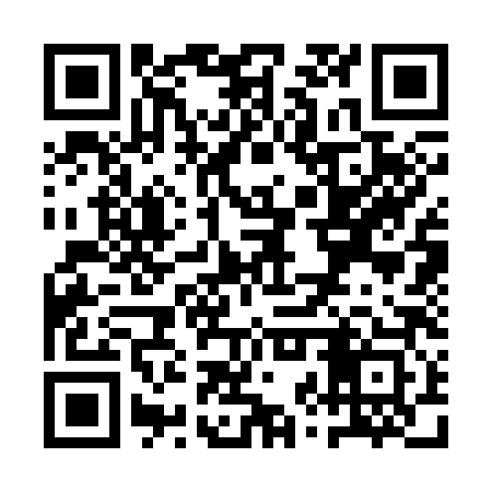 QR code for QZS383