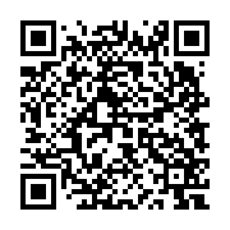 QR code for QZT666