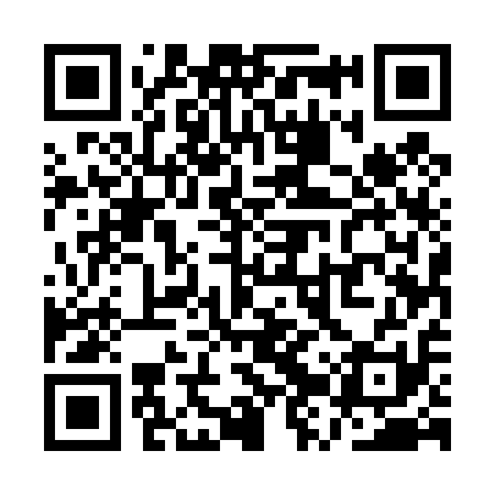 QR code for QZU411