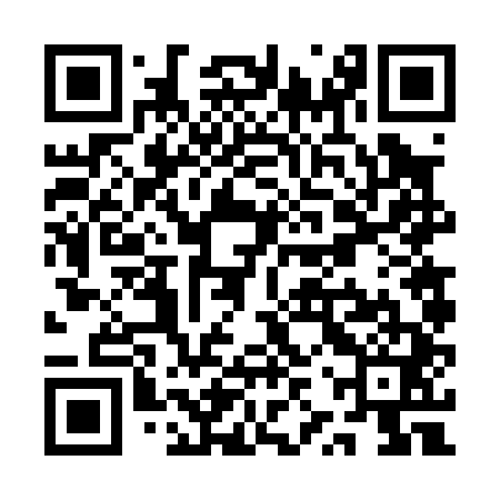 QR code for QZV041