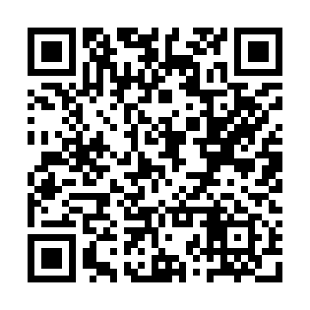 QR code for QZY919