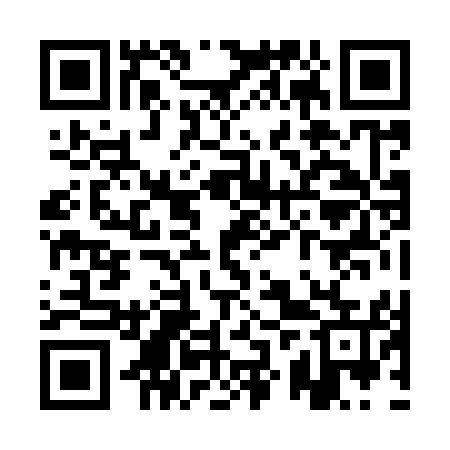 QR code for QZZ955