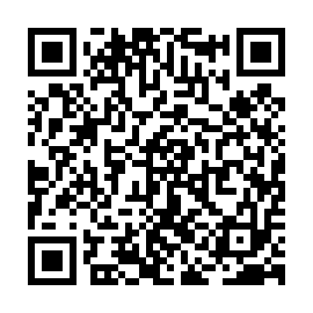 QR code for RAA413
