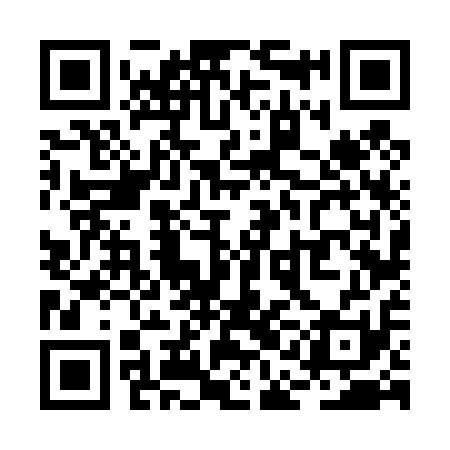 QR code for RAF411