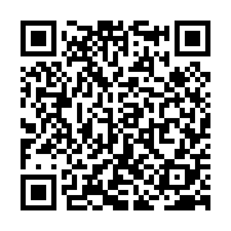 QR code for RAG008