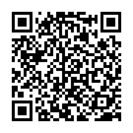 QR code for RAG308