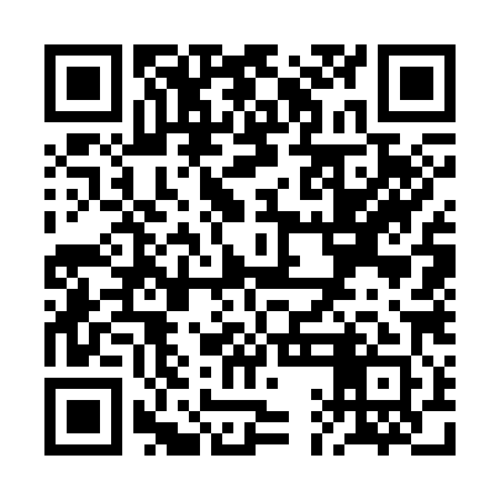 QR code for RAG381