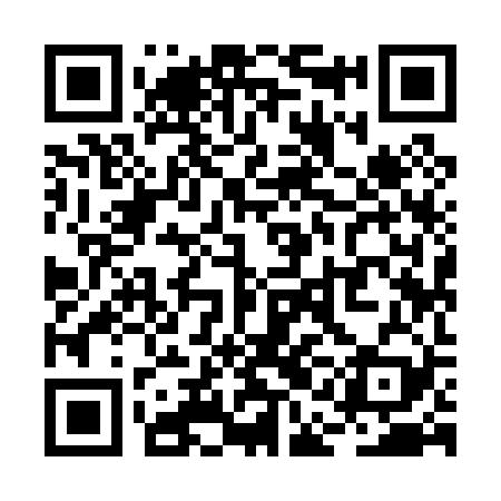 QR code for RAI029