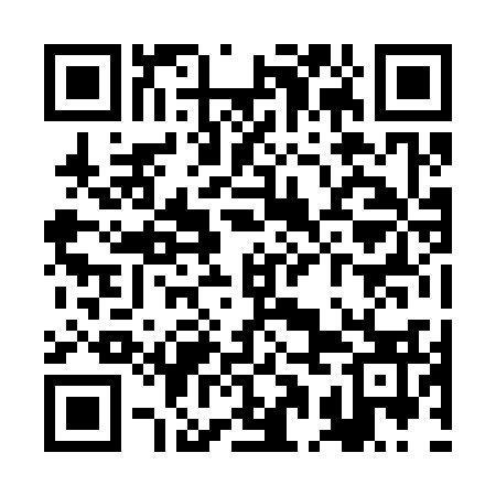 QR code for RAJ333