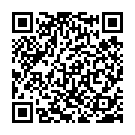 QR code for RAO638