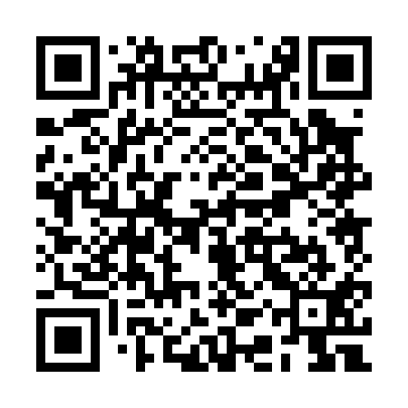 QR code for RAP011