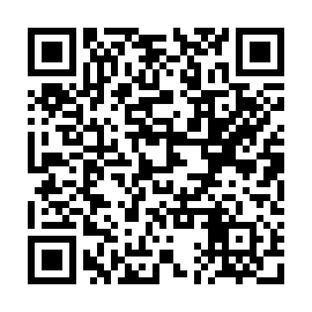 QR code for RAP310