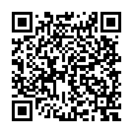QR code for RAP595