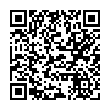 QR code for RAQ335