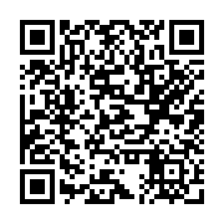 QR code for RAS383