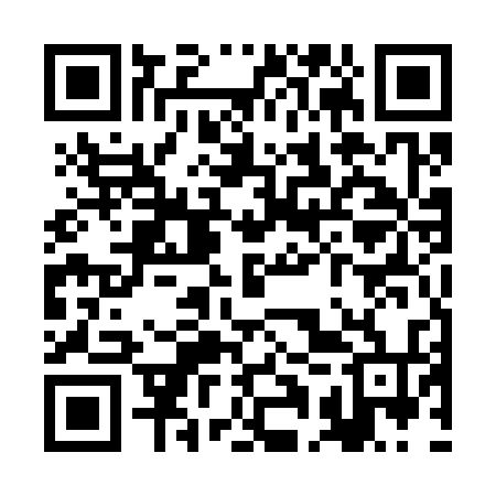 QR code for RAU334
