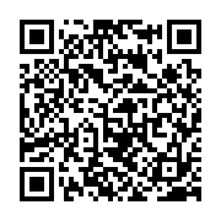 QR code for RAW333