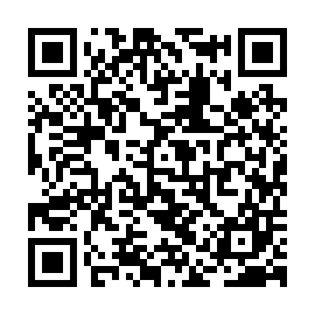 QR code for RAY207