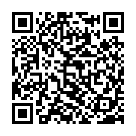 QR code for RAY298