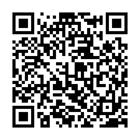 QR code for RAY333