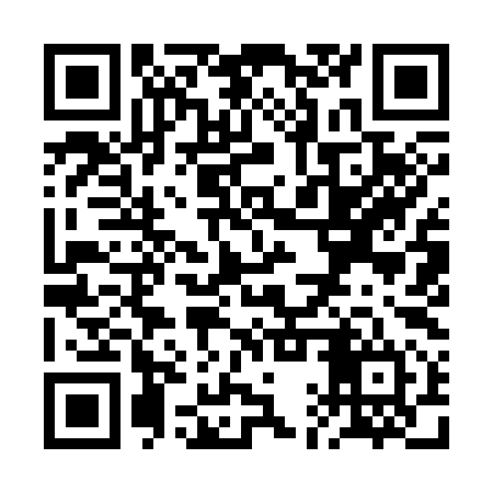 QR code for RAY394