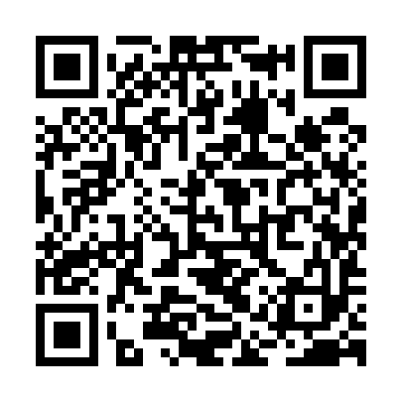 QR code for RAY593