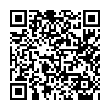 QR code for RAY691