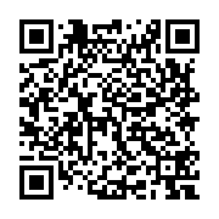 QR code for RAY918