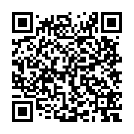 QR code for RAZ528