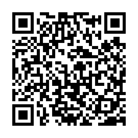 QR code for RAZ609